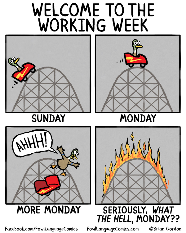 What The Hell, Monday?